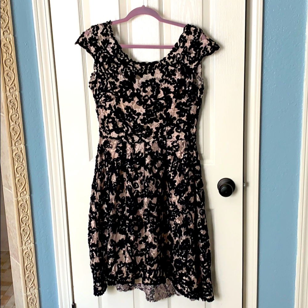 Anthropologie fit and flare lace dress